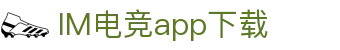 IM(股份有限公司)电竞-电子竞技平台